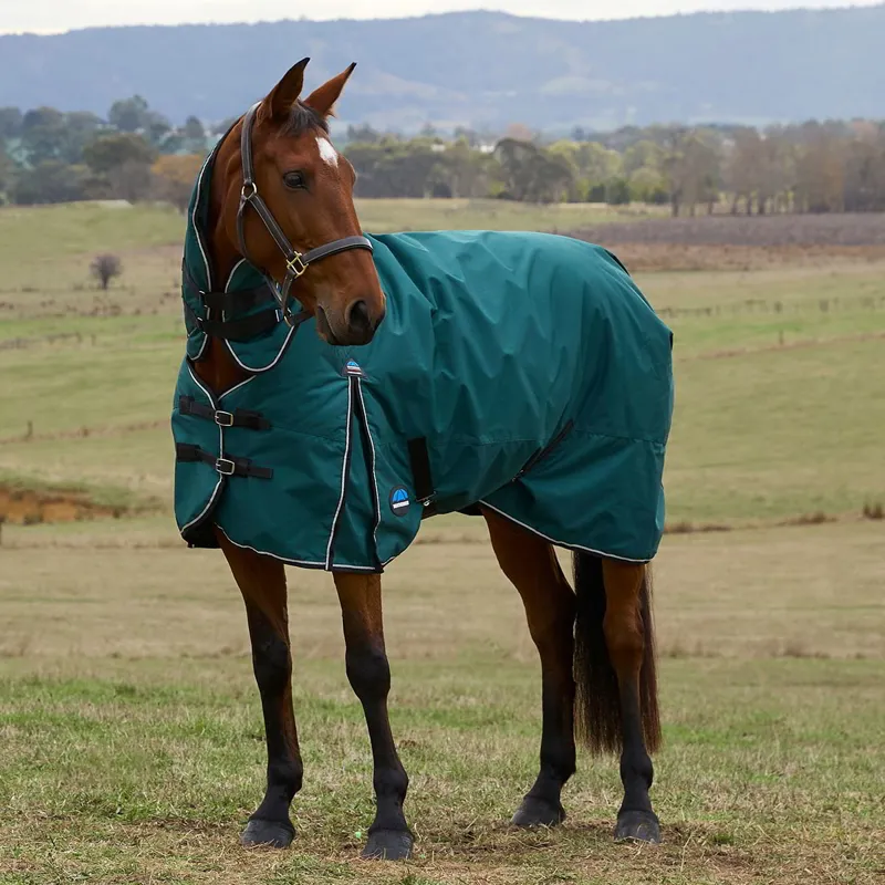 WeatherBeeta ComFiTec Classic 220g Combo Turnout Blanket Forest Green-7