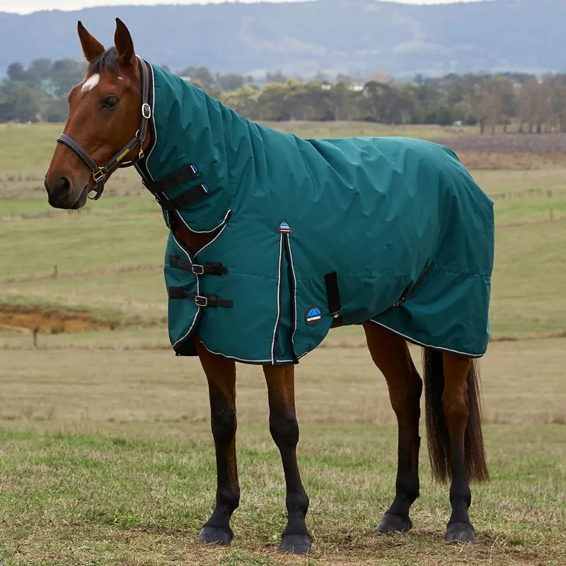 WeatherBeeta ComFiTec Classic 220g Combo Turnout Blanket Forest Green