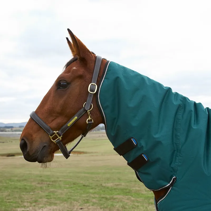 WeatherBeeta ComFiTec Classic 50g Combo Neck Turnout - Forest Green-9