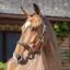 Henry James Comfort 3D Air Halter - Havana Brown