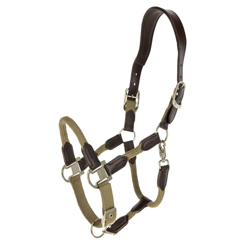 Covalliero Cordano Lux Halter - Walnut