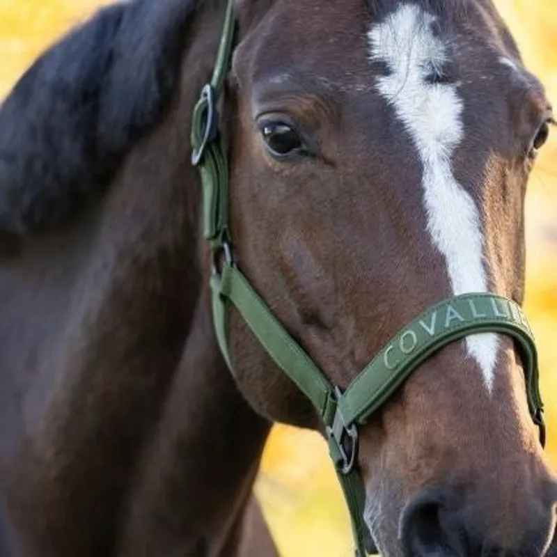 Covalliero Halter - Forest Green-4