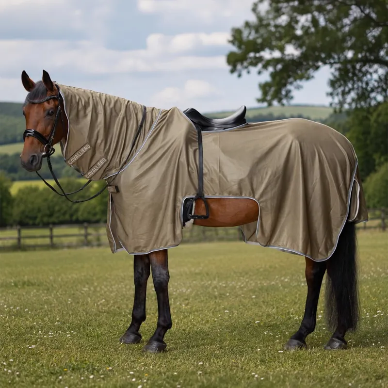 Covalliero Mesh Exercise Sheet - Walnut