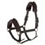 Covalliero Padded Halter - Coffee