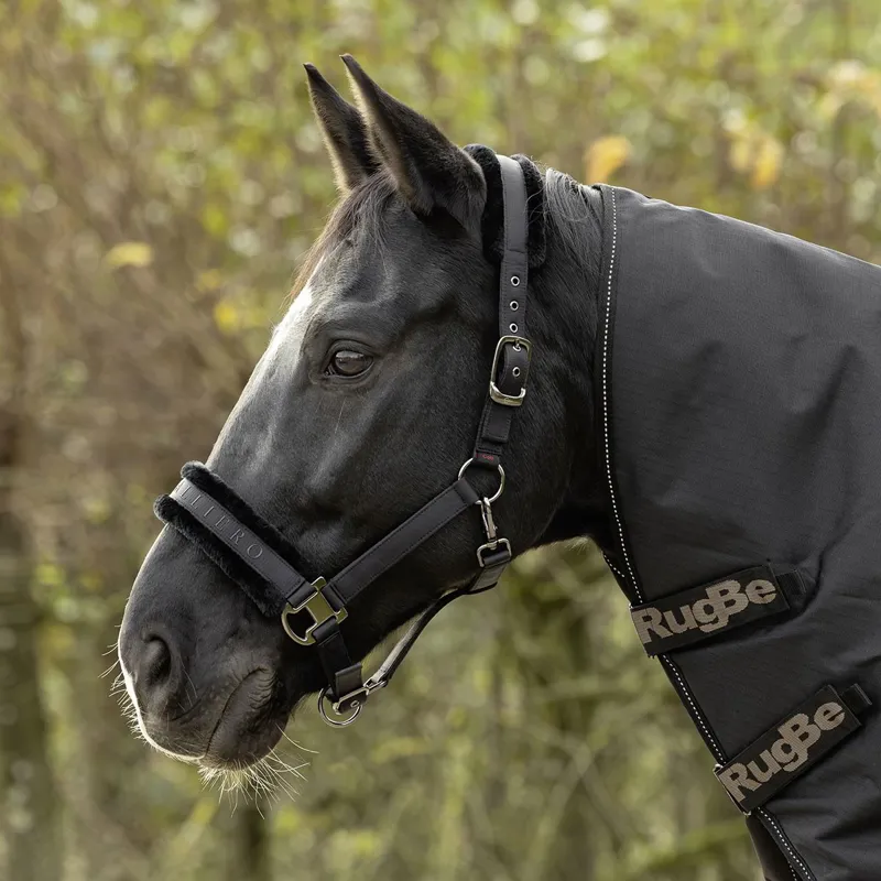 Covalliero Padded Halter - Black-3