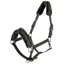Covalliero Padded Halter - Opal Green