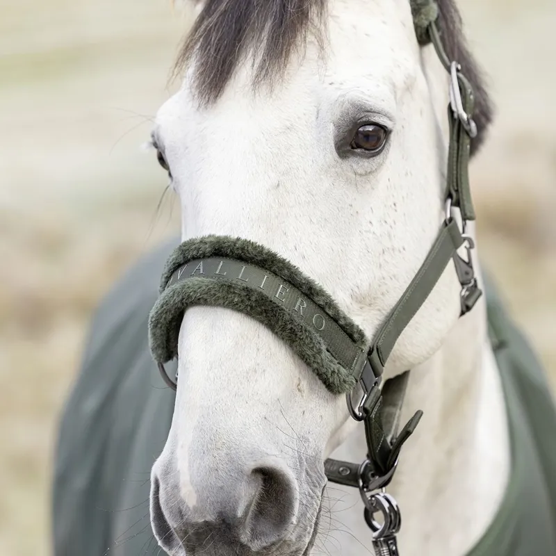 Covalliero Padded Halter - Opal Green-6