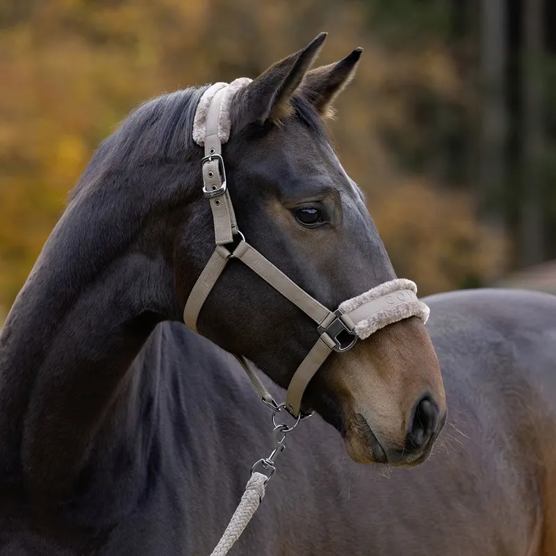 Covalliero Padded Halter - Taupe-6