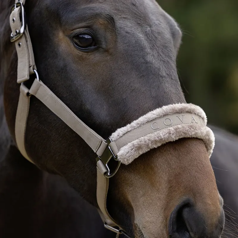 Covalliero Padded Halter - Taupe-4