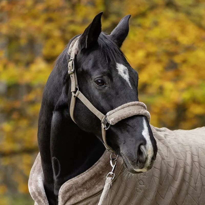 Covalliero Padded Halter - Taupe-5