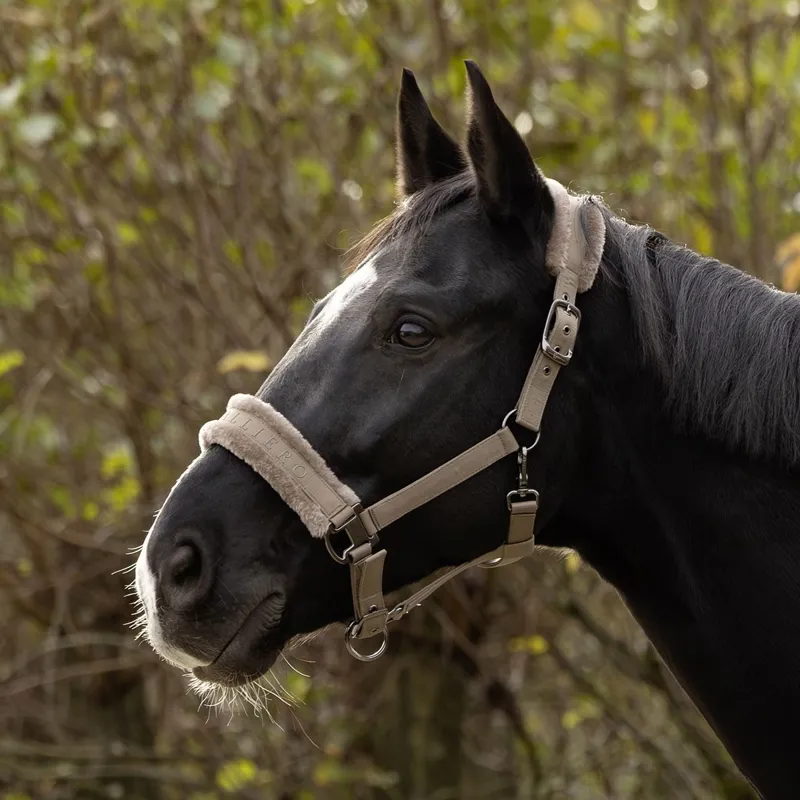 Covalliero Padded Halter - Taupe-3