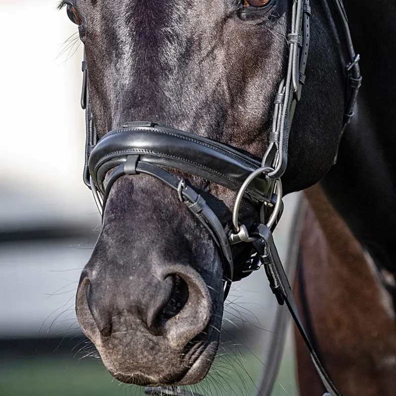 Equiline NB0451 Crank Noseband with Removable Flash - Black-2