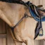 Dy'on D Collection 5-Point Elastic Breastplate - Brown