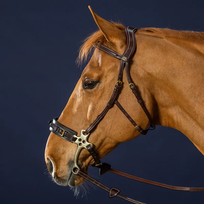 Dy'on D Collection Hackamore Bridle - Brown-1