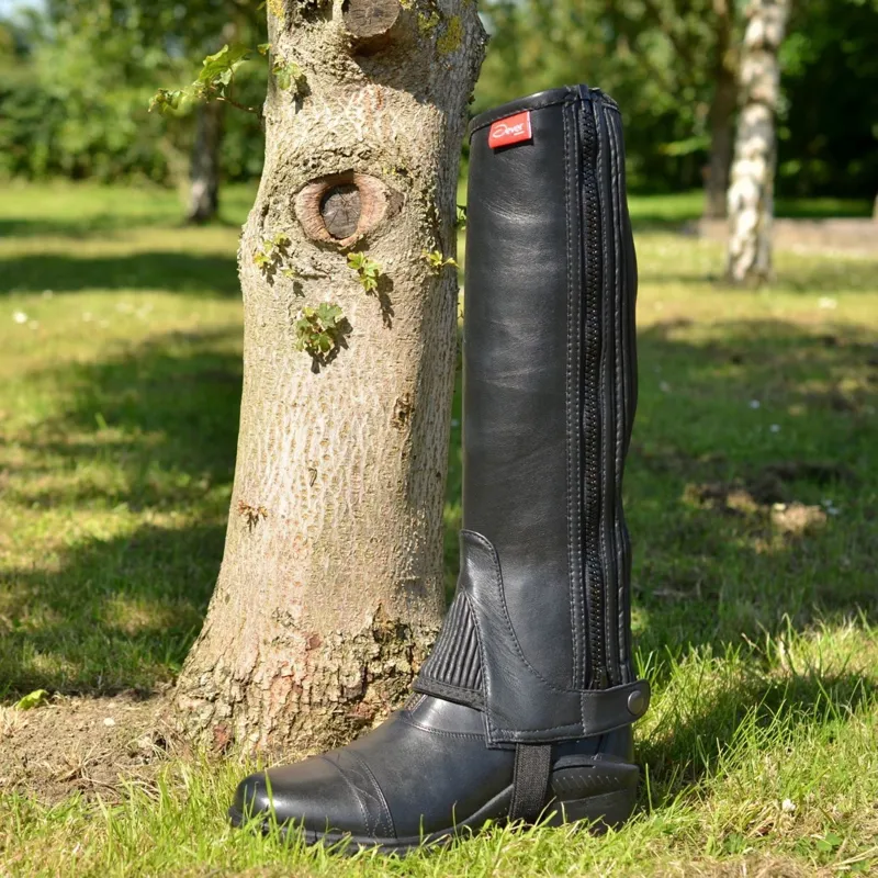 Dever Adult Unisex Leather Half Chaps - Black