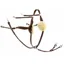 Dever Ascot Five Point Elastic Breastplate - Brown