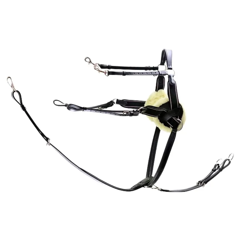 Dever Ascot Five Point Elastic Breastplate - Black-1