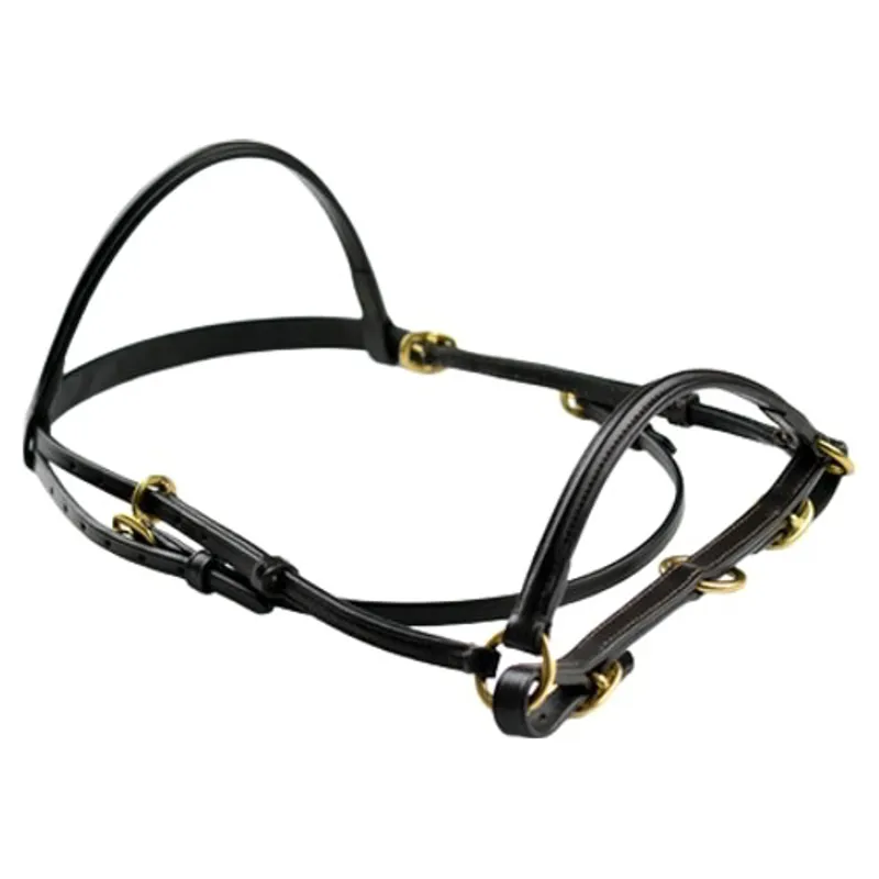 Dever Ascot Leather Foal Halter-Brown
