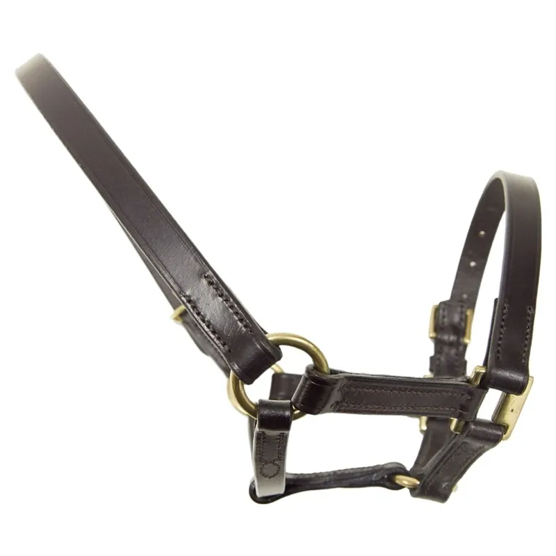 Dever Ascot Leather Foal Halter - Brown-1