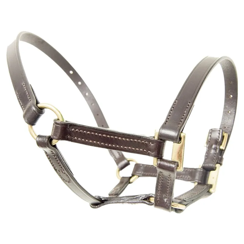 Dever Ascot Leather Foal Halter - Brown