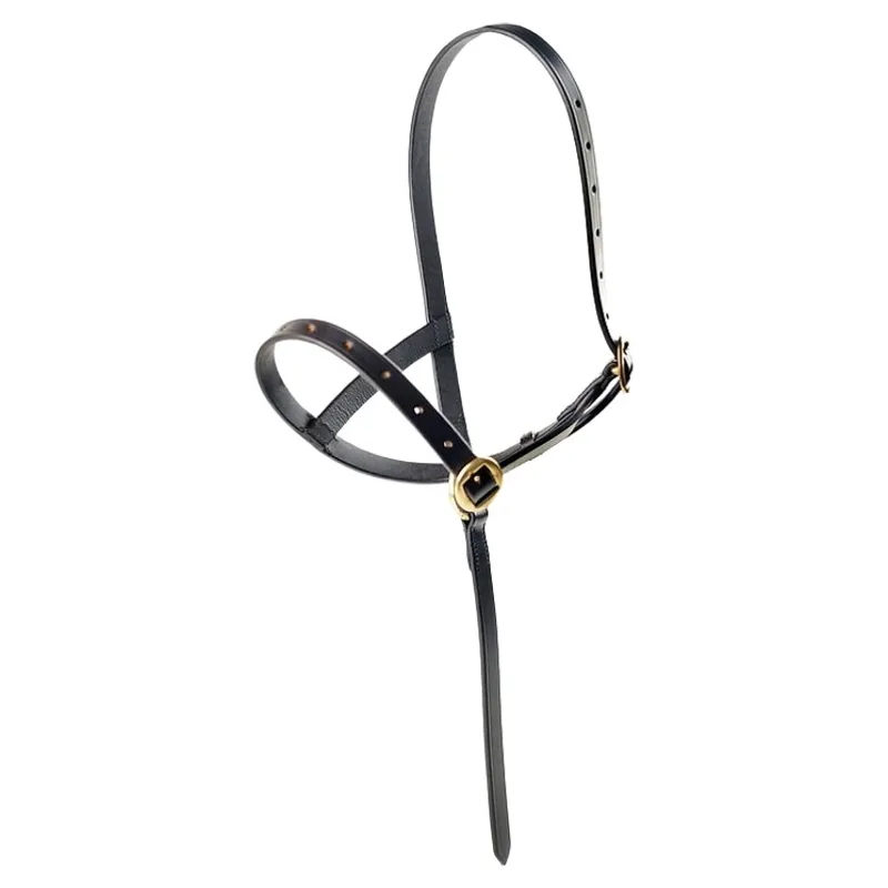 Dever Ascot Leather Foal Halter - Brown-3