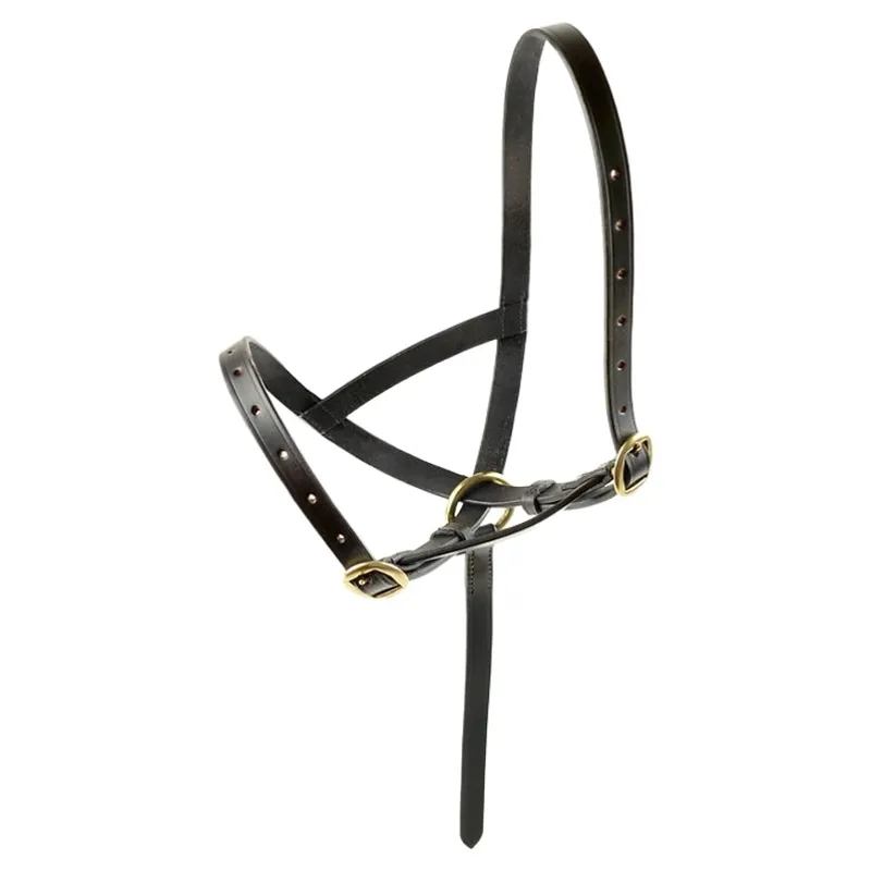 Dever Ascot Leather Foal Halter - Brown-1
