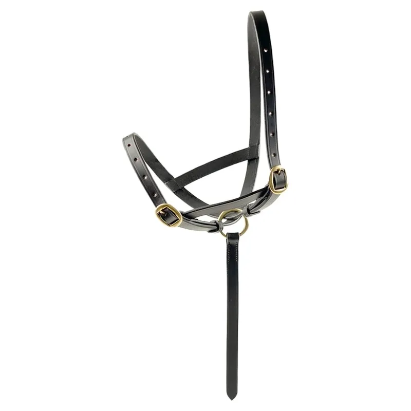 Dever Ascot Leather Foal Halter - Brown