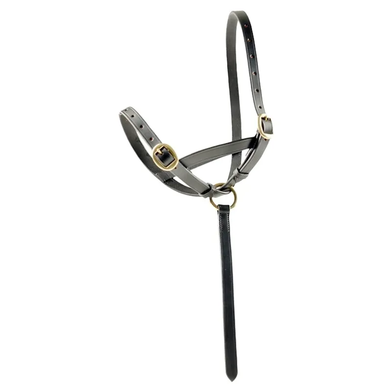 Dever Ascot Leather Foal Halter - Brown-2