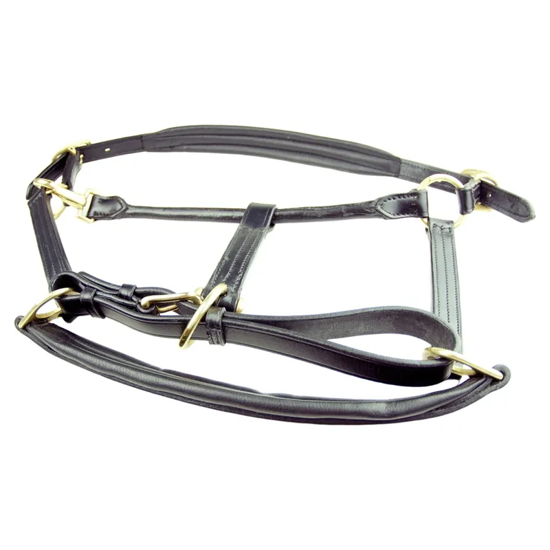 Dever Ascot Padded Leather Halter - Black-2