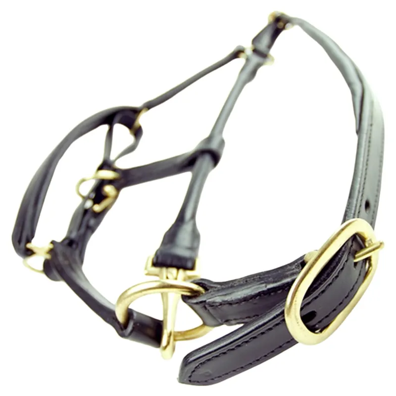 Dever Ascot Padded Leather Halter - Black-4