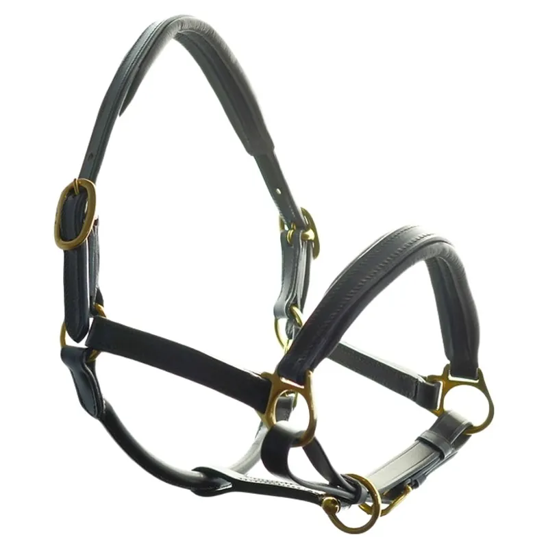 Dever Ascot Padded Leather Halter - Black