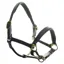 Dever Ascot Padded Leather Halter - Black