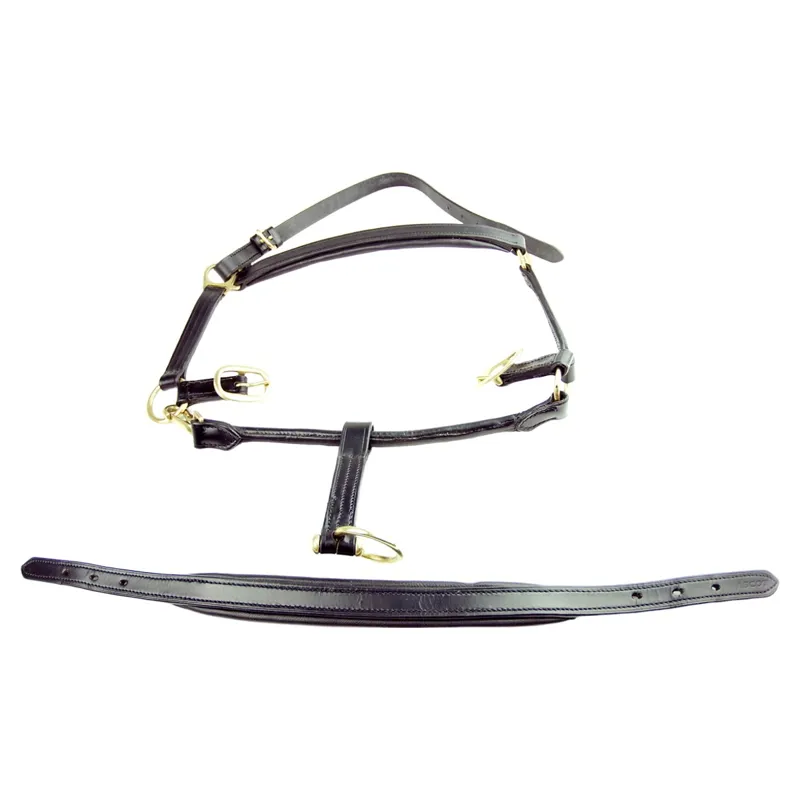Dever Ascot Padded Leather Halter - Black-1