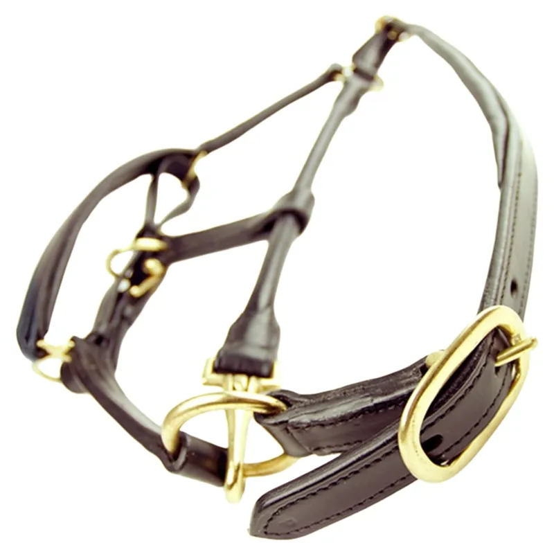Dever Ascot Padded Leather Halter - Brown-4