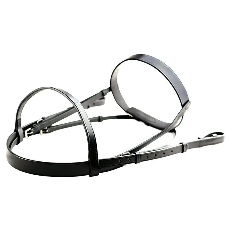 Dever Ascot Plain Bridle - Black-2