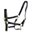 Dever Ascot Synthetic Halter - Black
