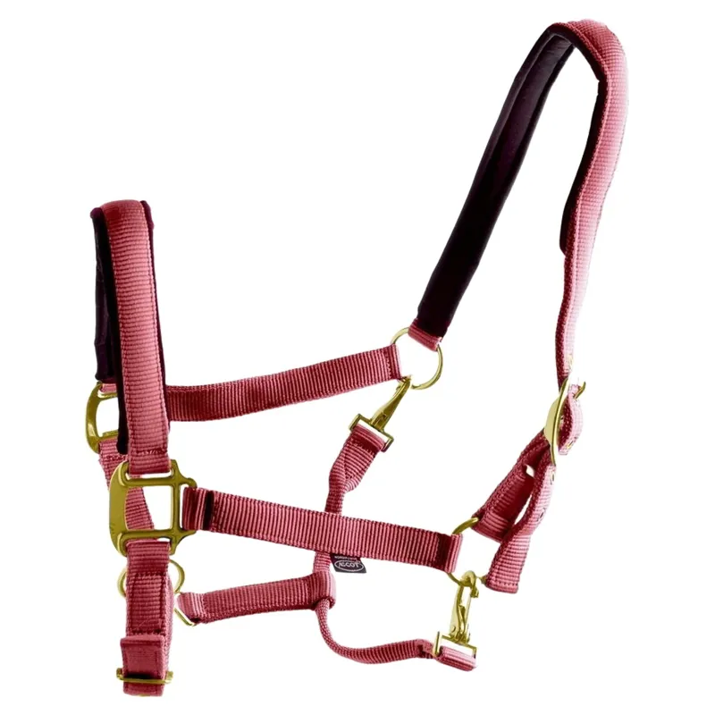 Dever Ascot Synthetic Halter - Burgundy