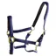 Dever Ascot Padded Halter - Navy