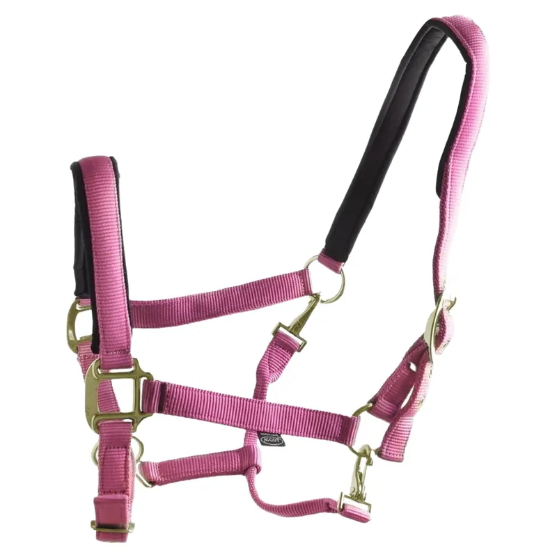 Dever Ascot Synthetic Halter - Pink