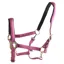 Dever Ascot Synthetic Halter - Pink
