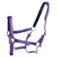 Dever Ascot Synthetic Halter - Purple