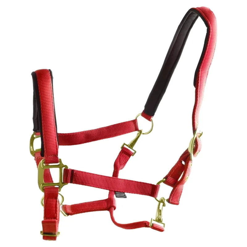 Dever Ascot Synthetic Halter - Red