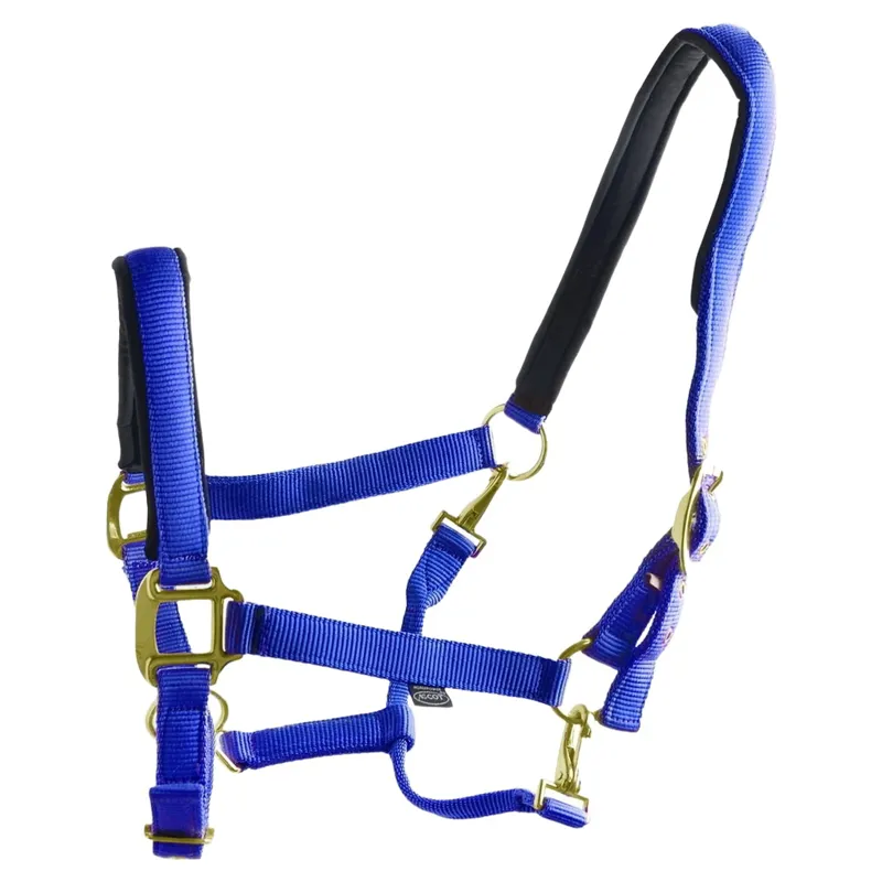 Dever Ascot Synthetic Halter - Royal