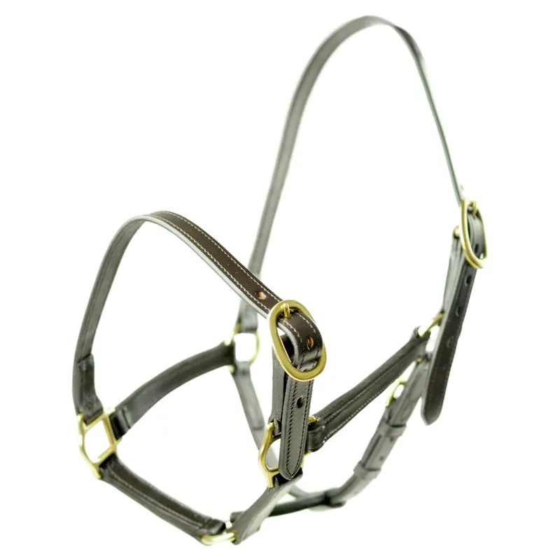Dever Ascot Weaning to Yearling Leather Halter - Brown