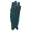 Dever Lightweight Adult Riding Gloves - Blue