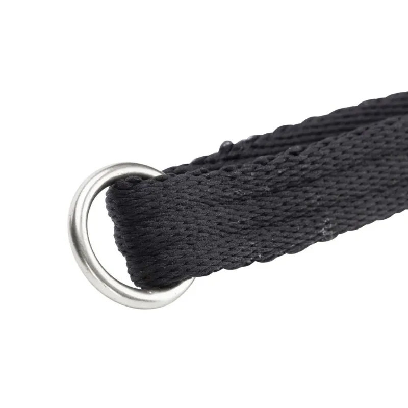 Digby and Fox Extra Long Cushion Web Dog Leash - Black-2