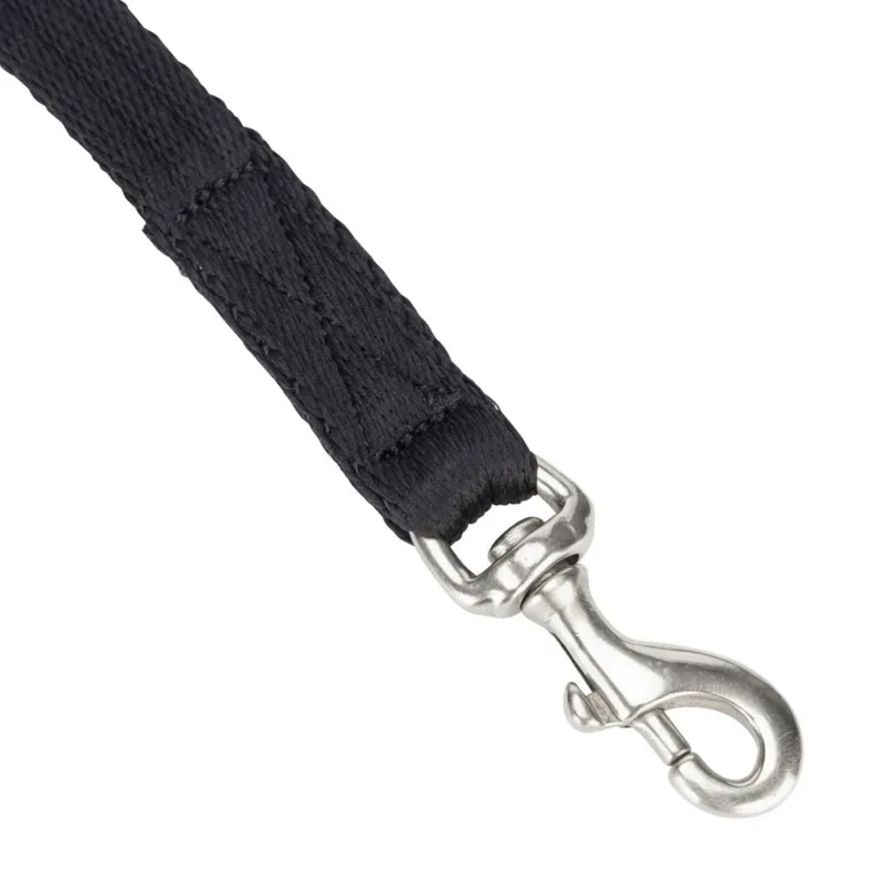 Digby and Fox Extra Long Cushion Web Dog Leash - Black-3