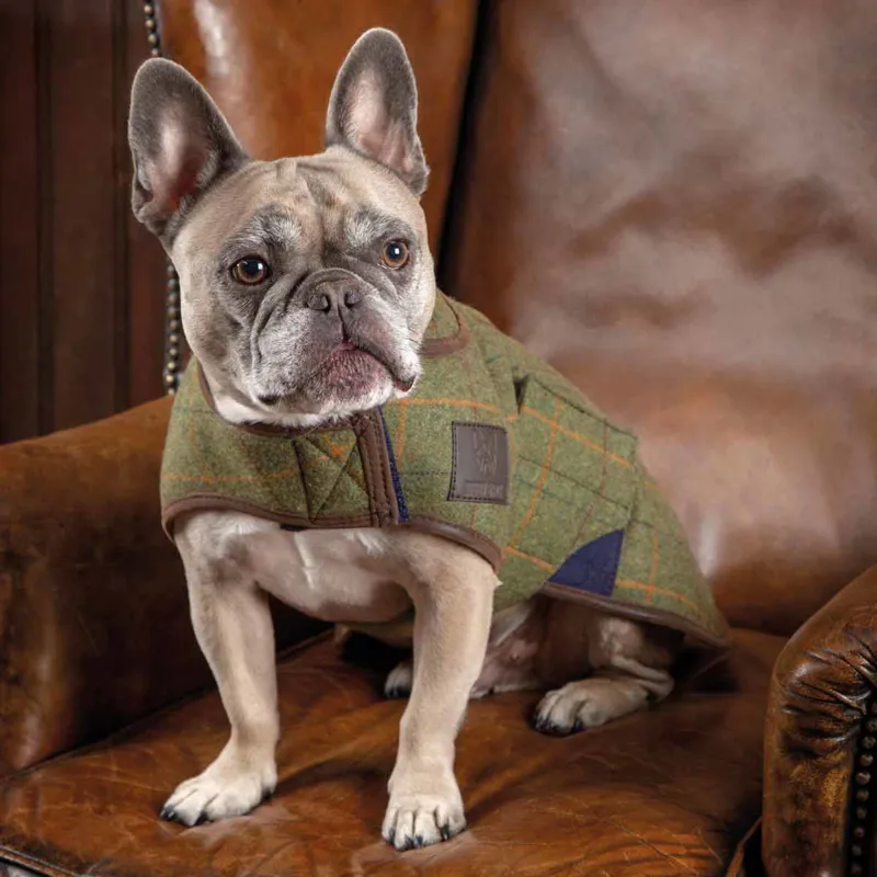 Digby and Fox Tweed Dog Coat - Red/Yellow/Blue Check-1