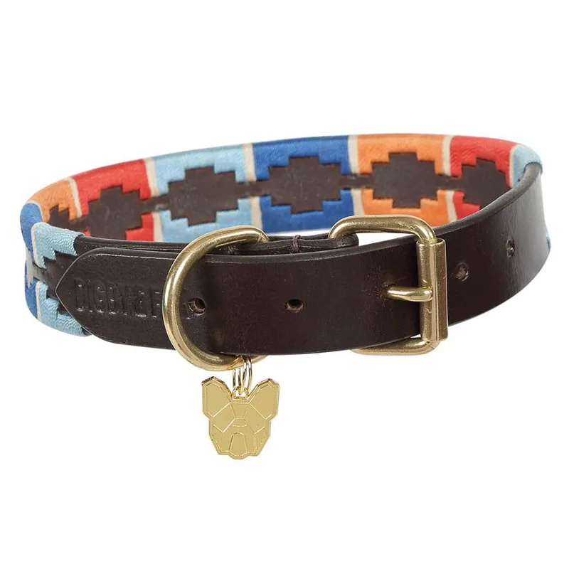 Digby and Fox Drover Polo Dog Collar - Turquoise/Red/Orange/Blue-1