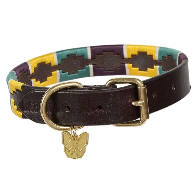 Digby and Fox Drover Polo Dog Collar - Yellow/Dark Green/Purple-1